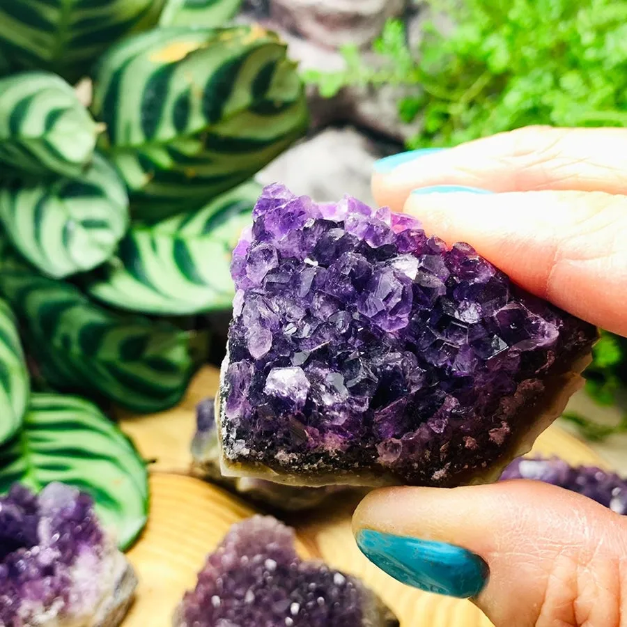 60% Off Amethyst Collectors Kit
