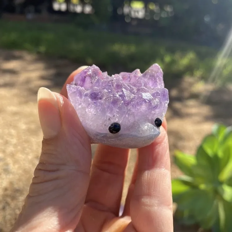 60% Off Amethyst Collectors Kit