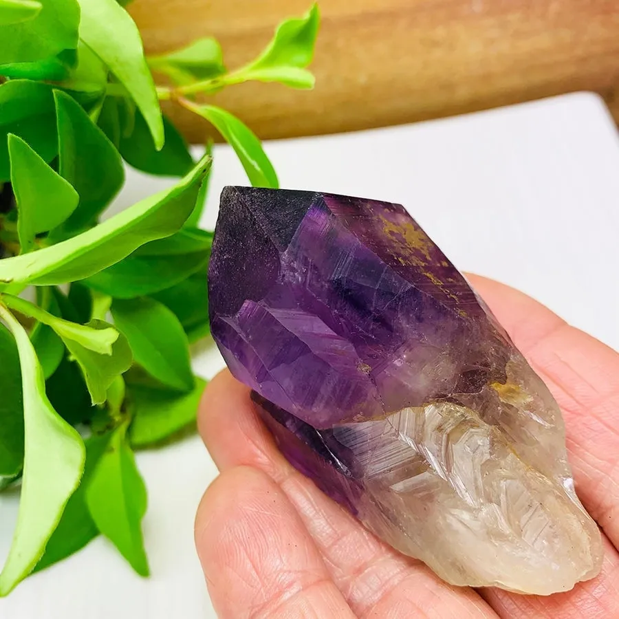 60% Off Amethyst Collectors Kit