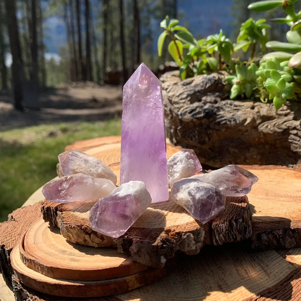 8-Piece Amethyst Point   Amethyst Shards Set