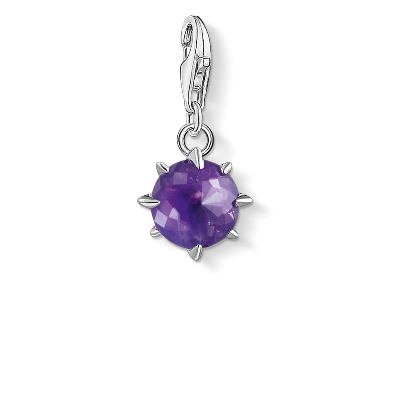 CHARM CLUB FEBRUARY BIRTHSTONE DARK AMETHYST