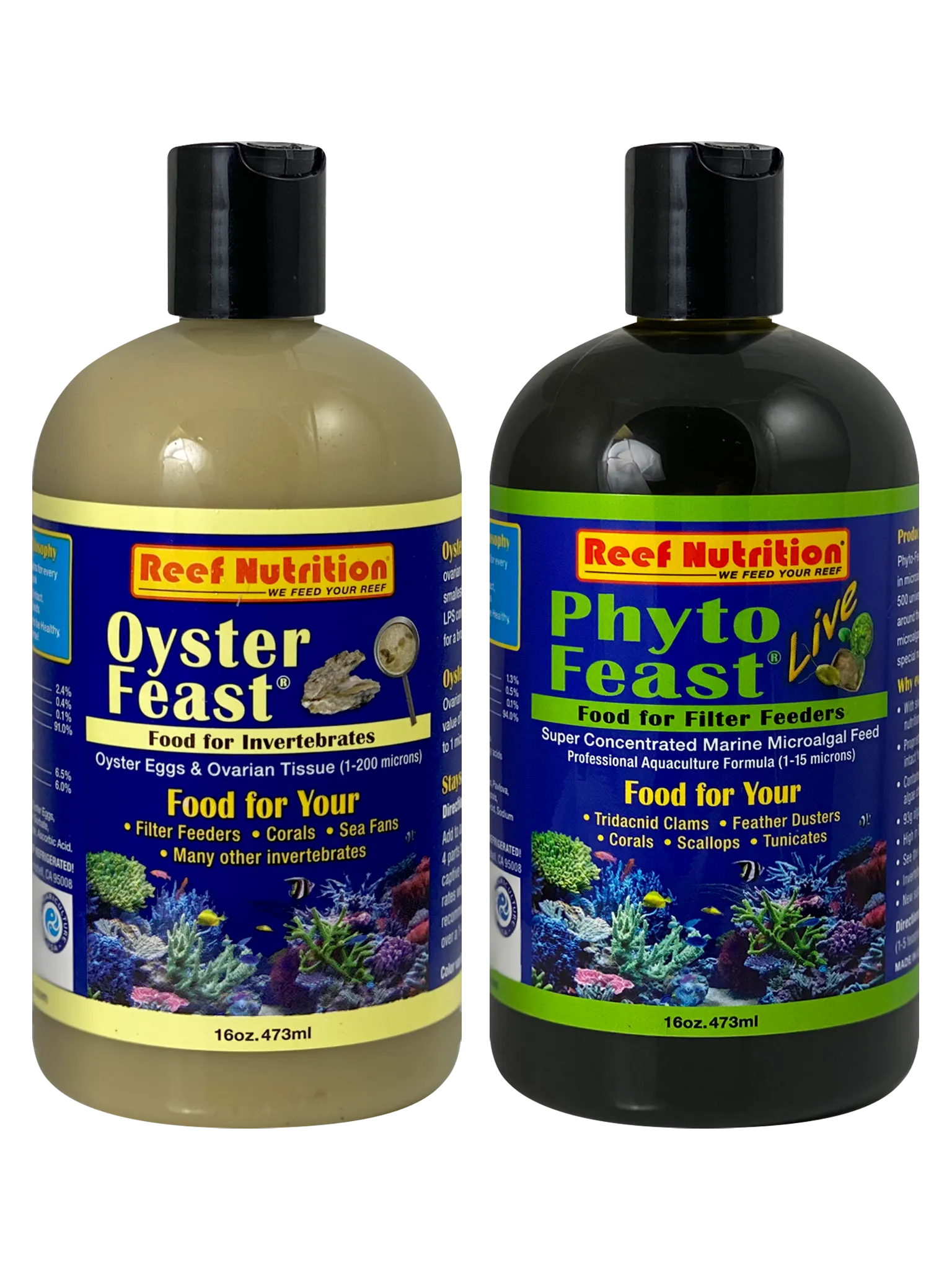 CORAL INVERTEBRATE LIVE PACK (M)