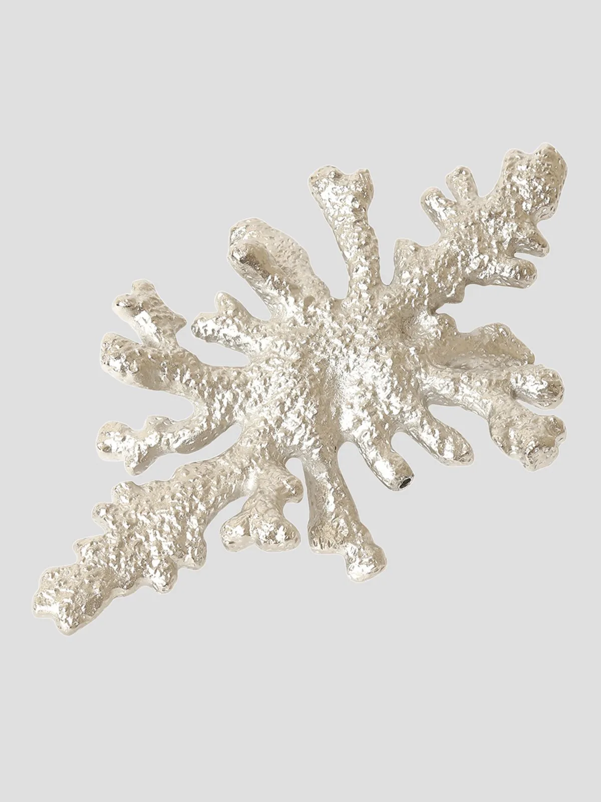 Coral Reef