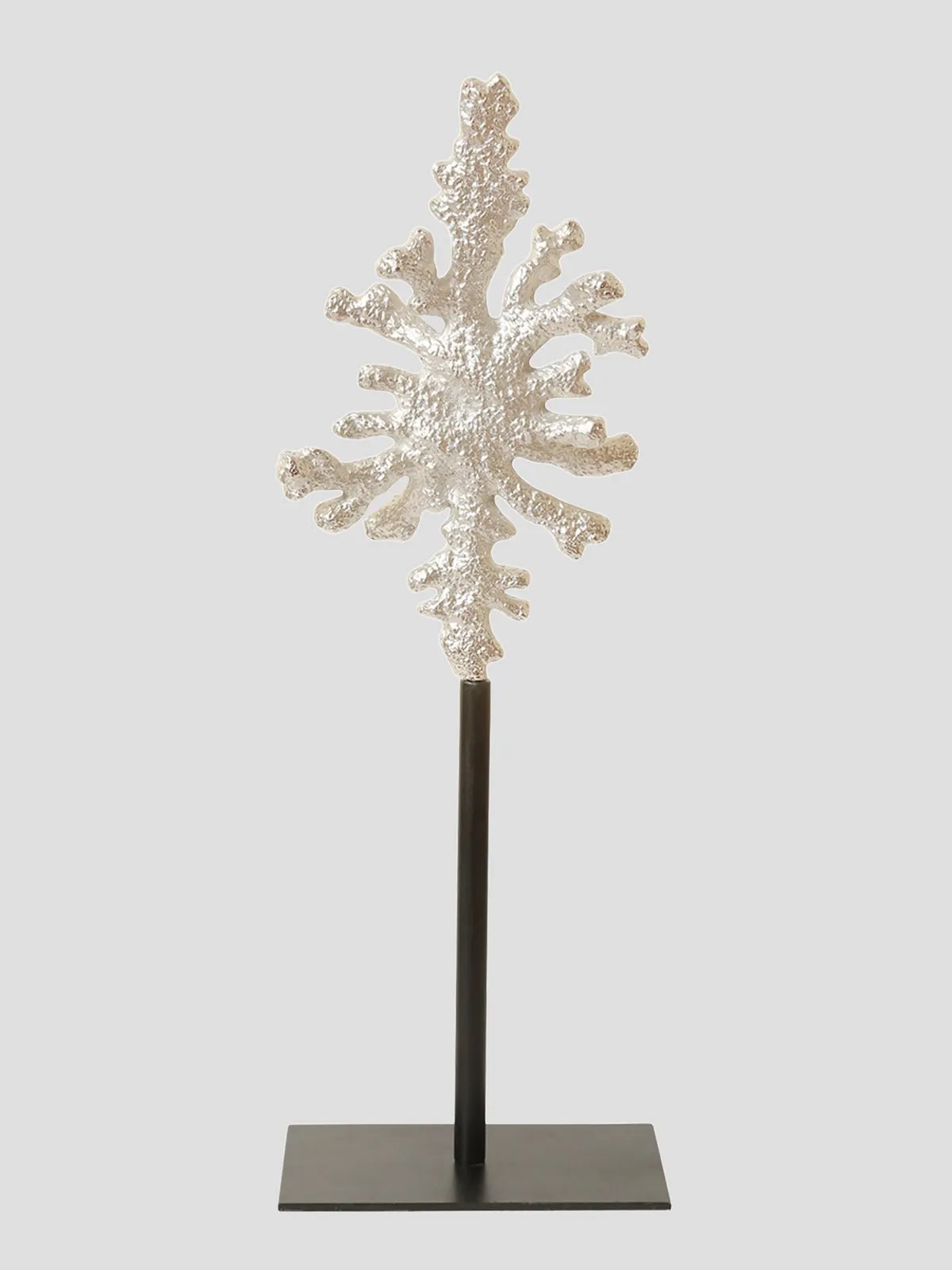 Coral Reef