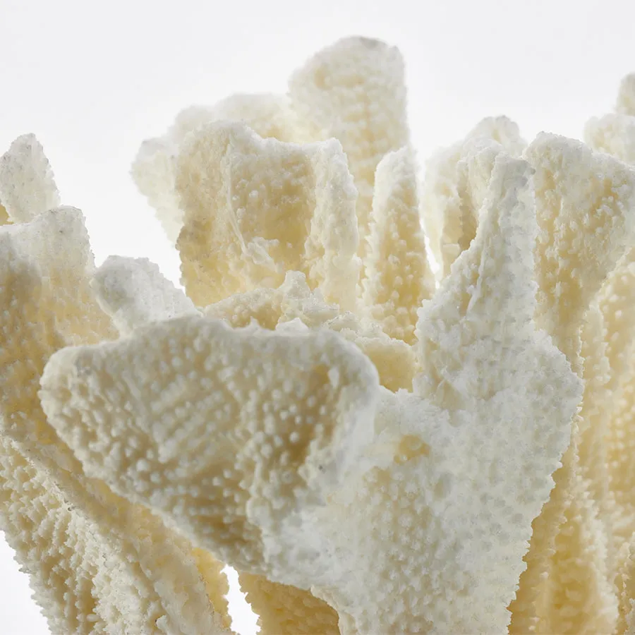 Coral Sculpture Beige