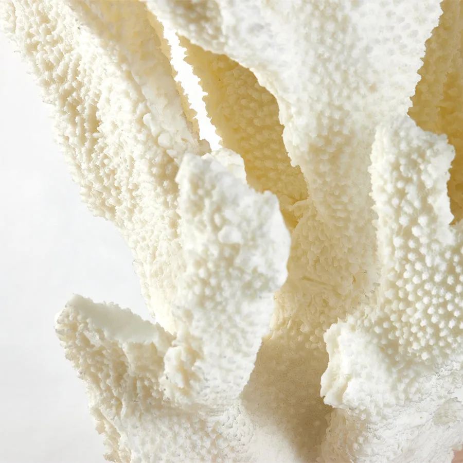 Coral Sculpture Beige