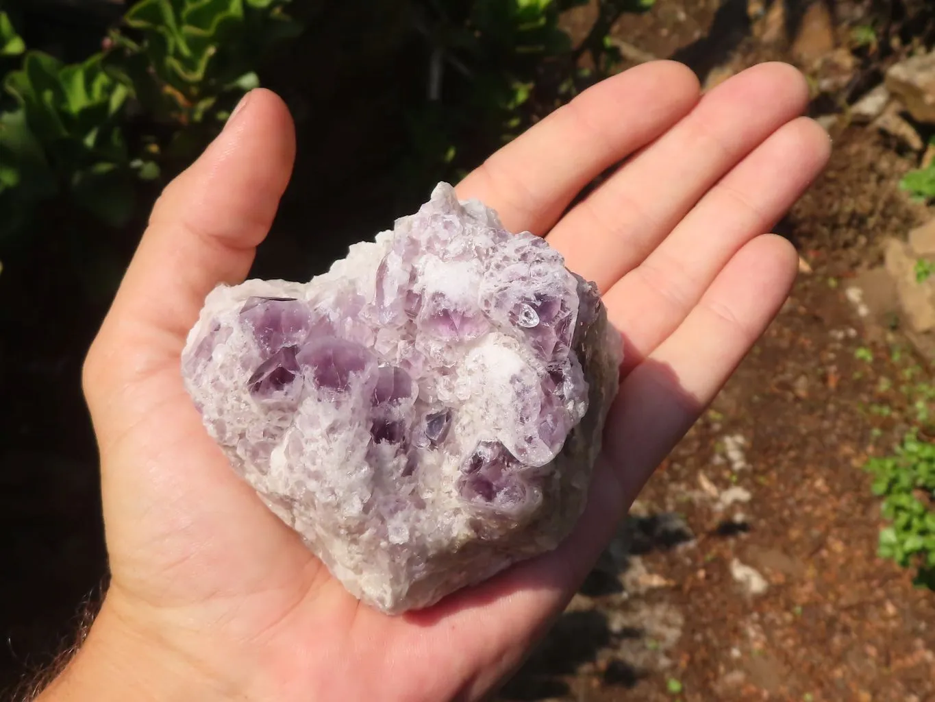 Natural Sugar Amethyst Clusters  x 4 From Solwezi, Zambia