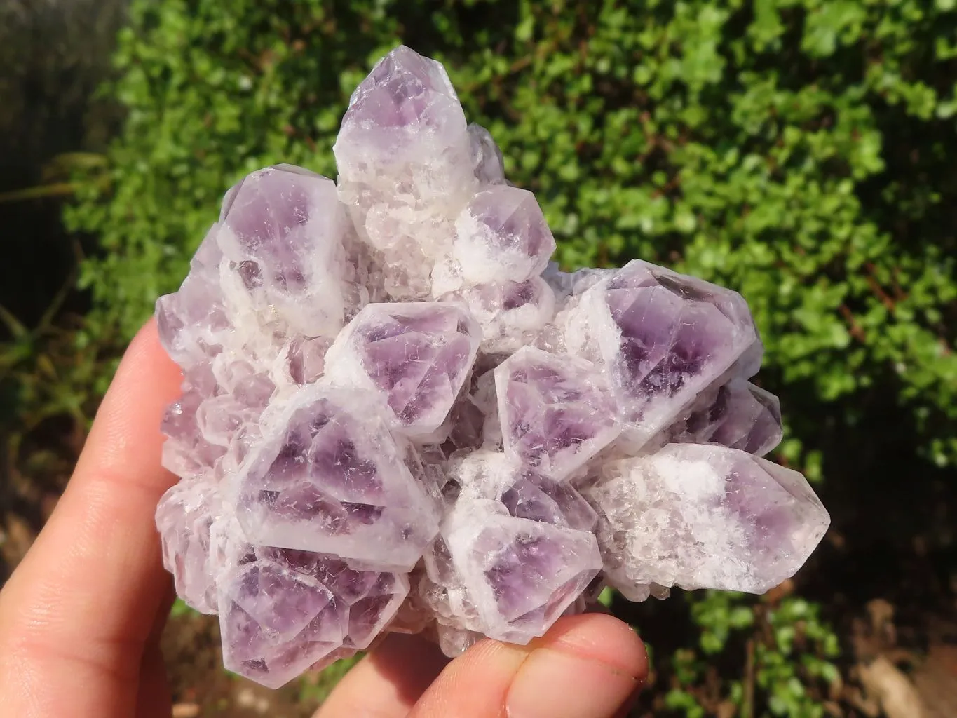 Natural Sugar Amethyst Clusters  x 4 From Solwezi, Zambia