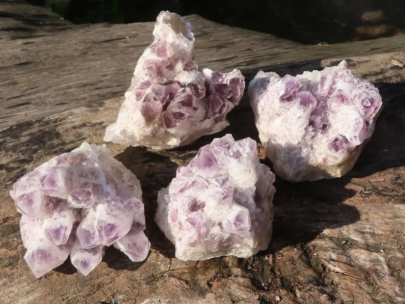 Natural Sugar Amethyst Clusters  x 4 From Solwezi, Zambia