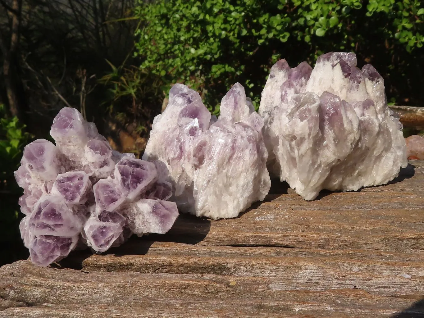 Natural Sugar Amethyst Clusters  x 4 From Solwezi, Zambia
