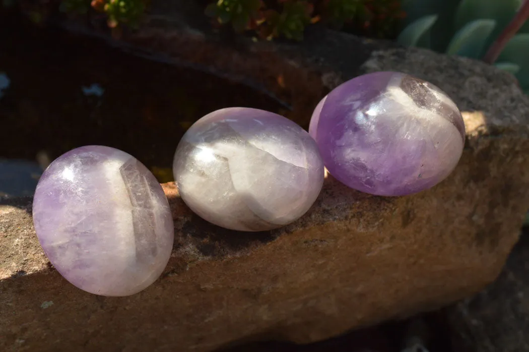 Polished Amethyst Galet / Palm Stones x 20 From Madagascar