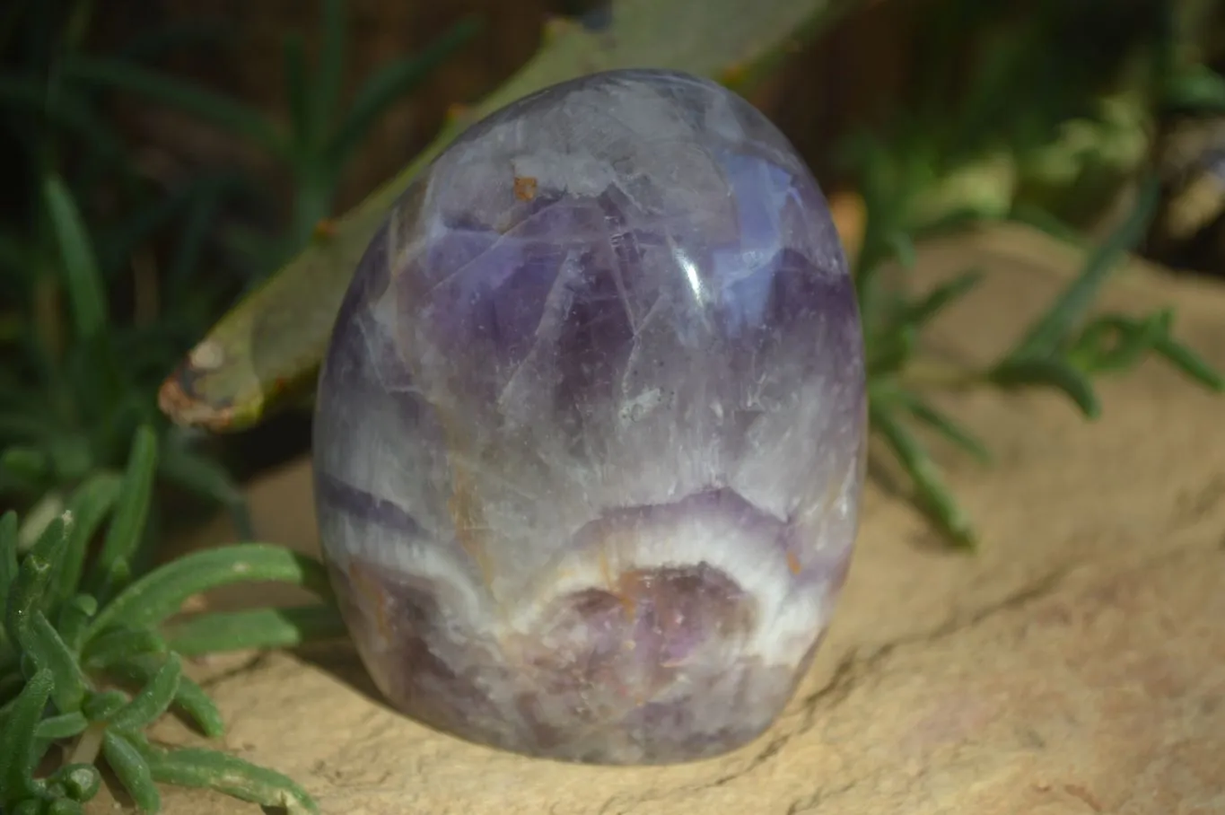 Polished Amethyst Standing Free Forms x 4 From Madagascar