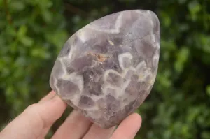 Polished Smokey Dream Amethyst Standing Free Forms x 6 From Madagascar