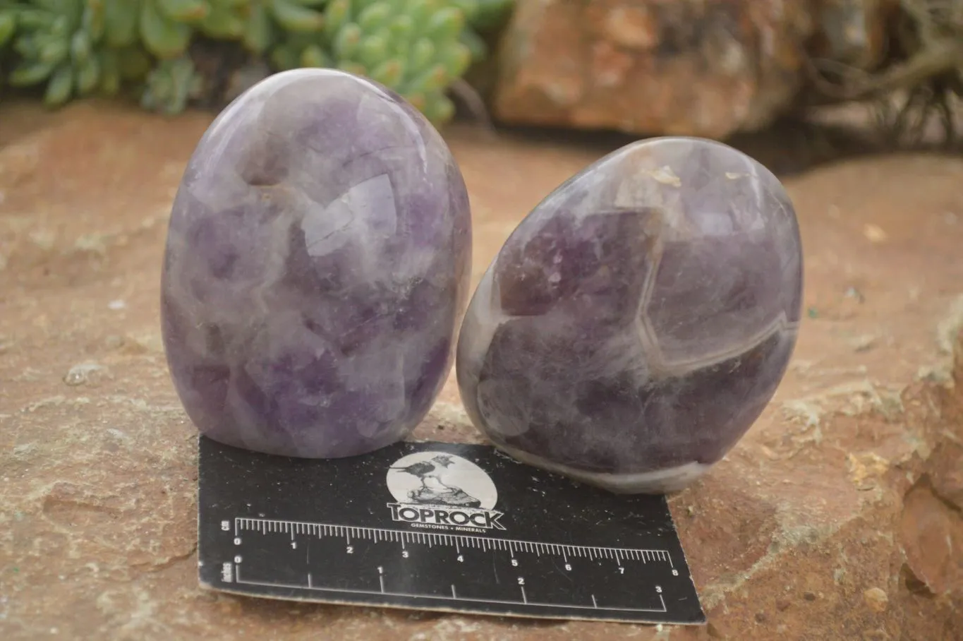 Polished Smokey Dream Amethyst Standing Free Forms x 6 From Madagascar