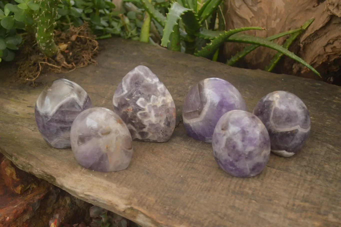 Polished Smokey Dream Amethyst Standing Free Forms x 6 From Madagascar