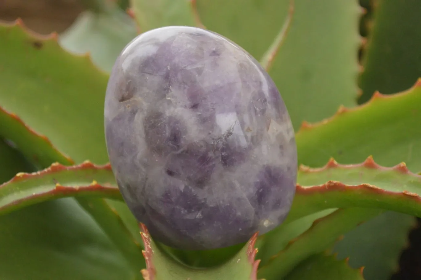 Polished Smokey Dream Amethyst Standing Free Forms x 6 From Madagascar