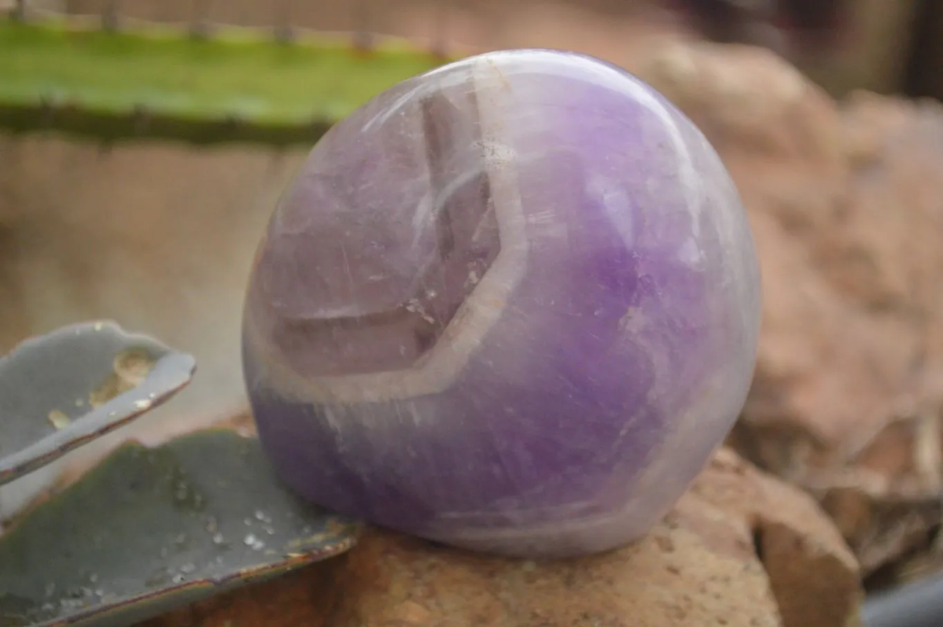 Polished Smokey Dream Amethyst Standing Free Forms x 6 From Madagascar