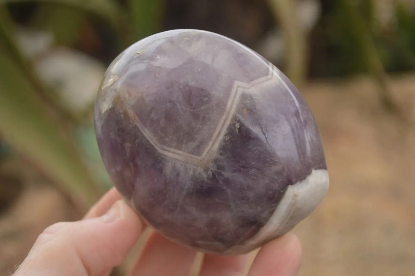 Polished Smokey Dream Amethyst Standing Free Forms x 6 From Madagascar