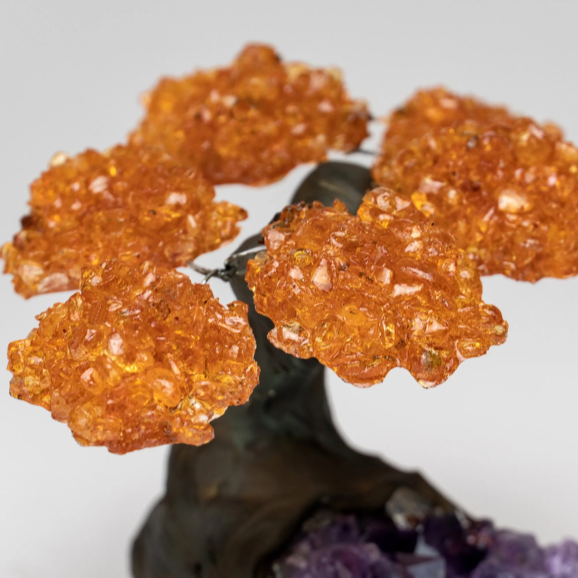 Small - Genuine Citrine Clustered Gemstone Tree on Amethyst Matrix (The Money Tree)
