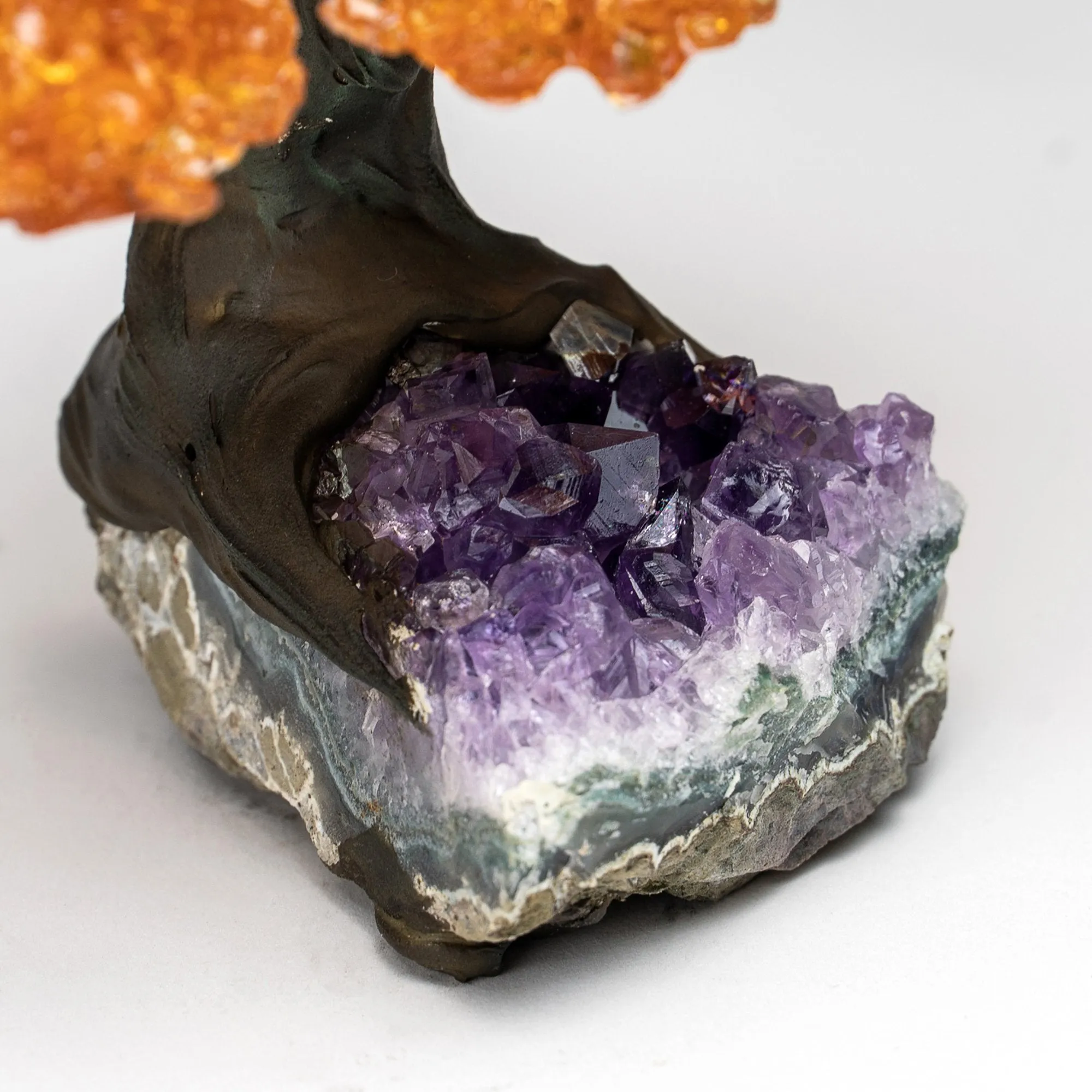 Small - Genuine Citrine Clustered Gemstone Tree on Amethyst Matrix (The Money Tree)