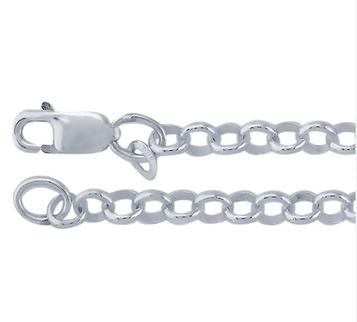 Sterling Silver Dainty Ruby Tortoise Charm Necklace 18 in. L