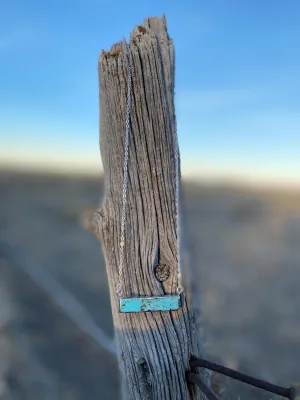 The Pretty Silver Turquoise Bar Necklace